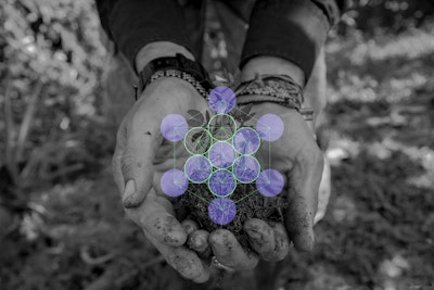 Our movement image 2