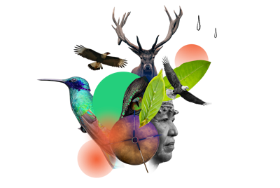 Our movement image 1